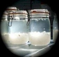 Kéfir de Agua (3 cucharadas)